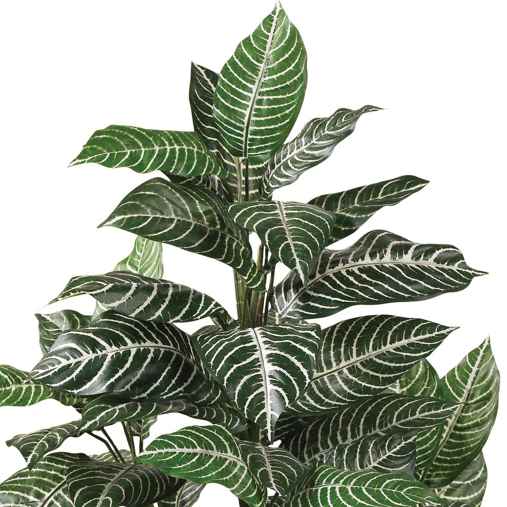 3ft. Zebra Silk Plant. Picture 3