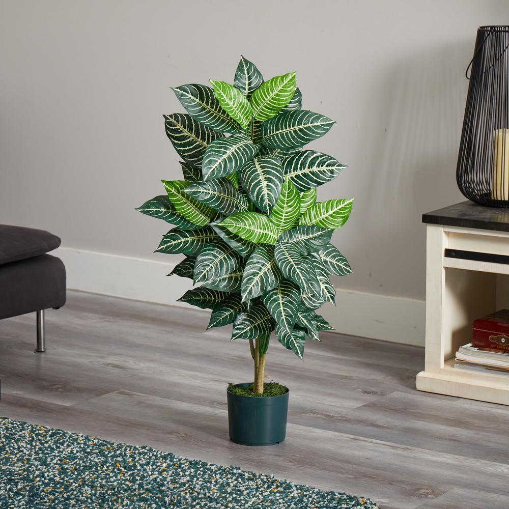 3ft. Zebra Silk Plant. Picture 4