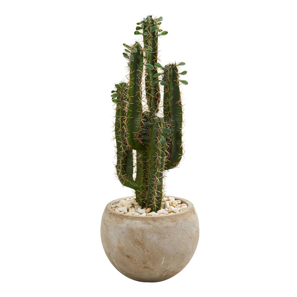 2.5ft. Cactus Artificial Plant in Bowl Planter. Picture 1