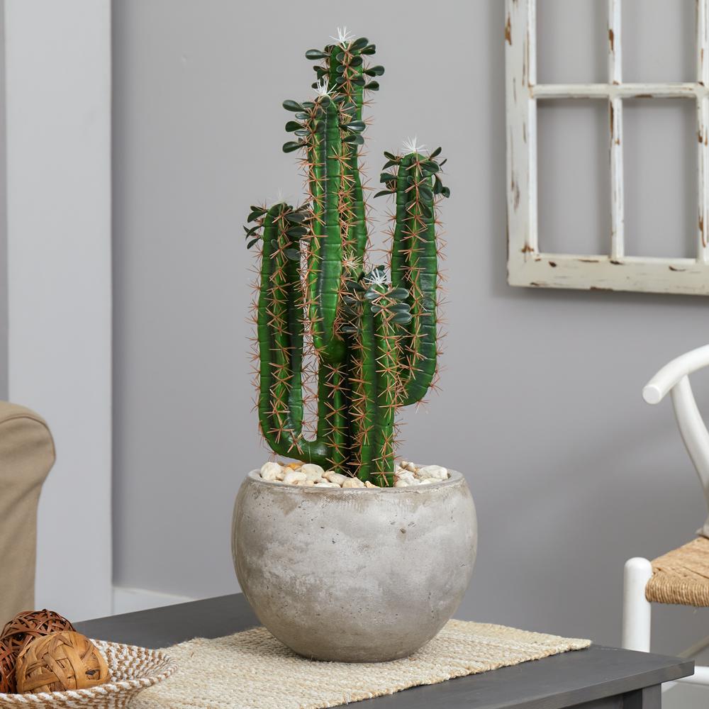 2.5ft. Cactus Artificial Plant in Bowl Planter. Picture 4
