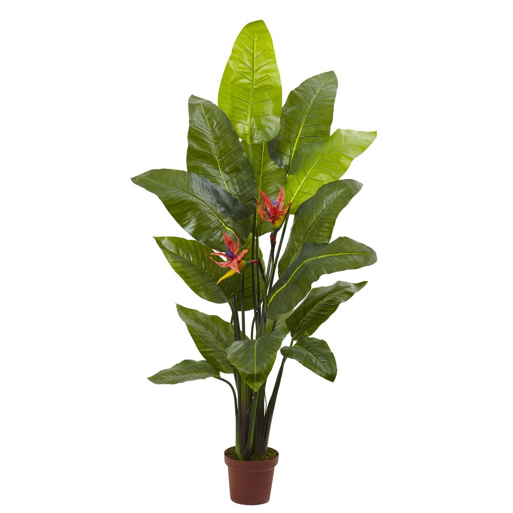 58in. Bird of Paradise Plant (Real Touch). Picture 1