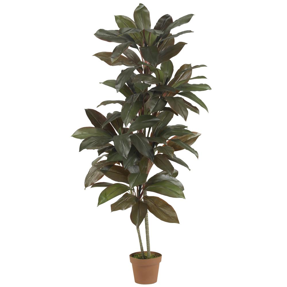 5ft. Cordyline Silk Plant (Real Touch). Picture 1
