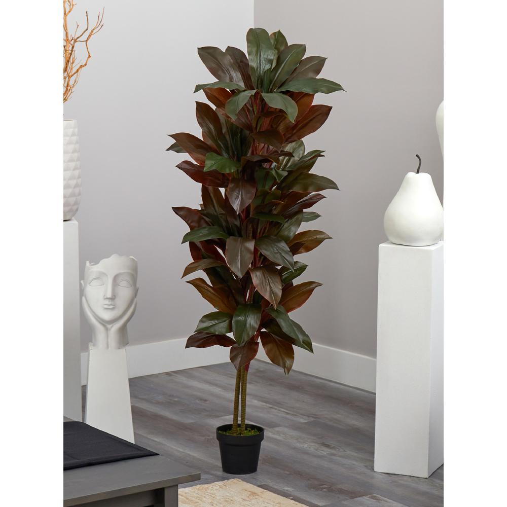 5ft. Cordyline Silk Plant (Real Touch). Picture 3