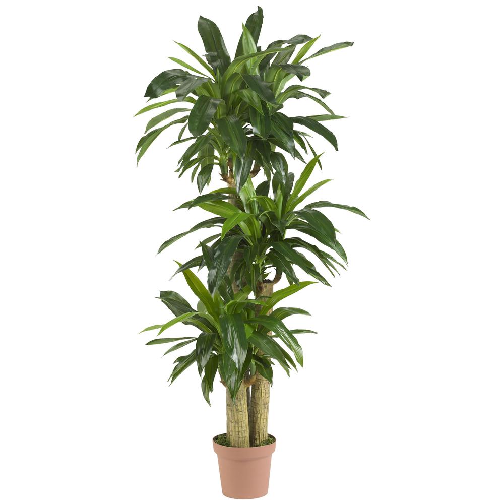 Corn Stalk Dracaena Silk Plant (Real Touch). Picture 1