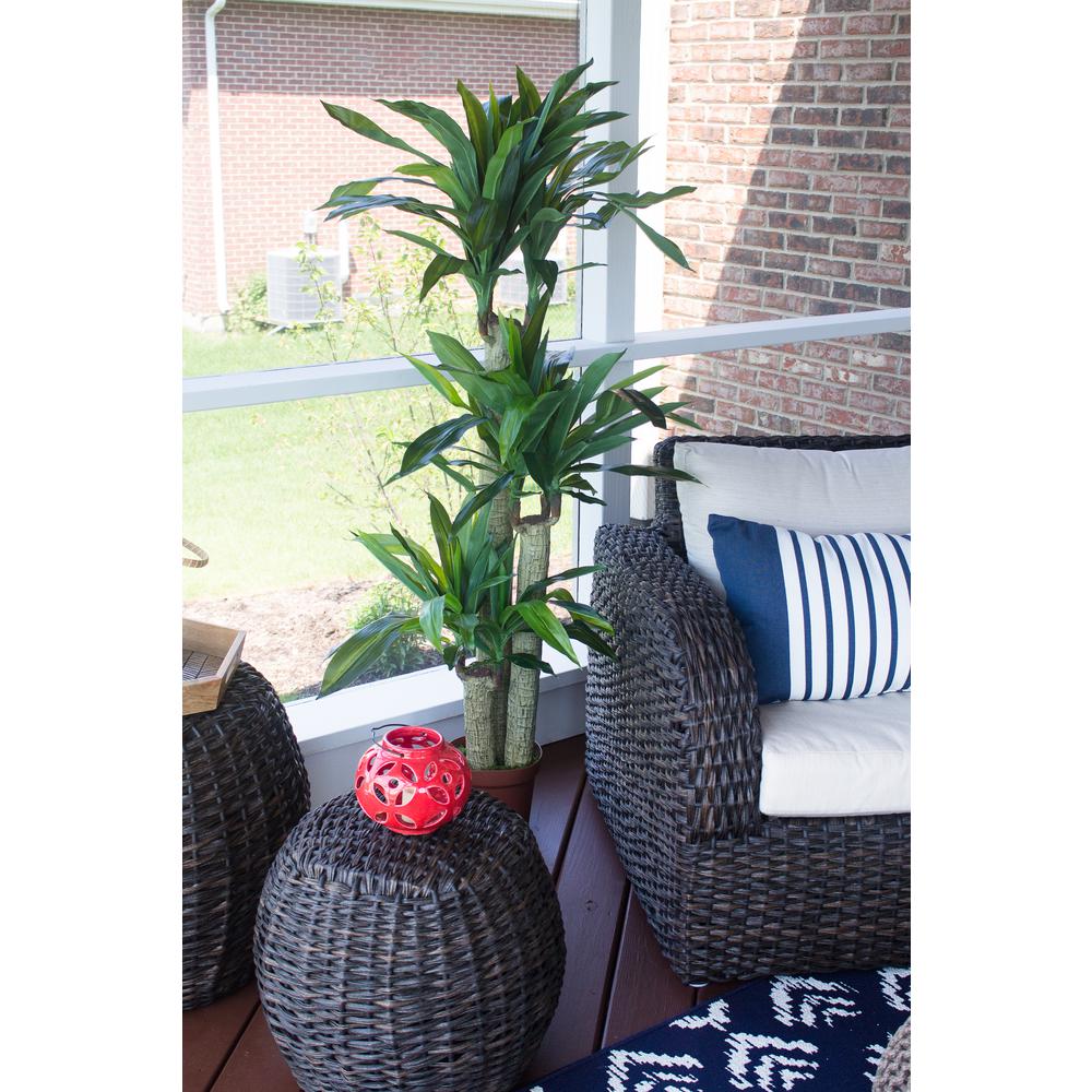 Corn Stalk Dracaena Silk Plant (Real Touch). Picture 11