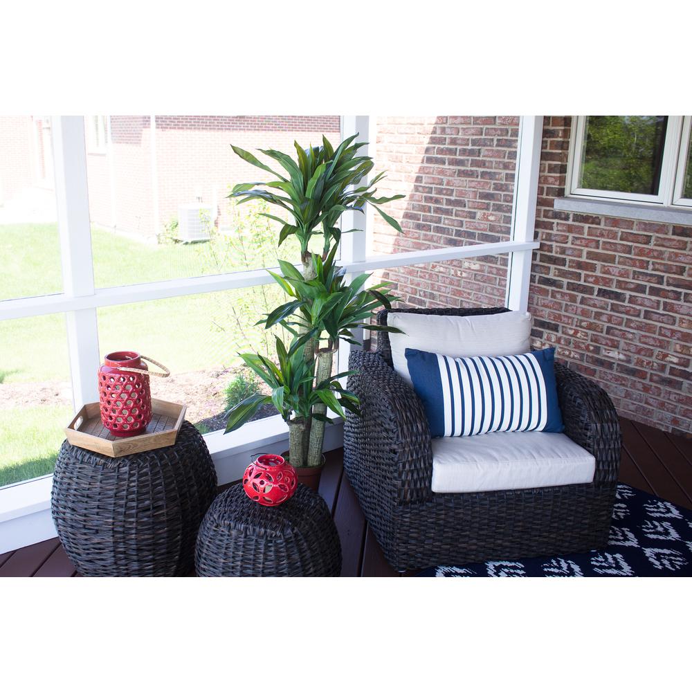 Corn Stalk Dracaena Silk Plant (Real Touch). Picture 6