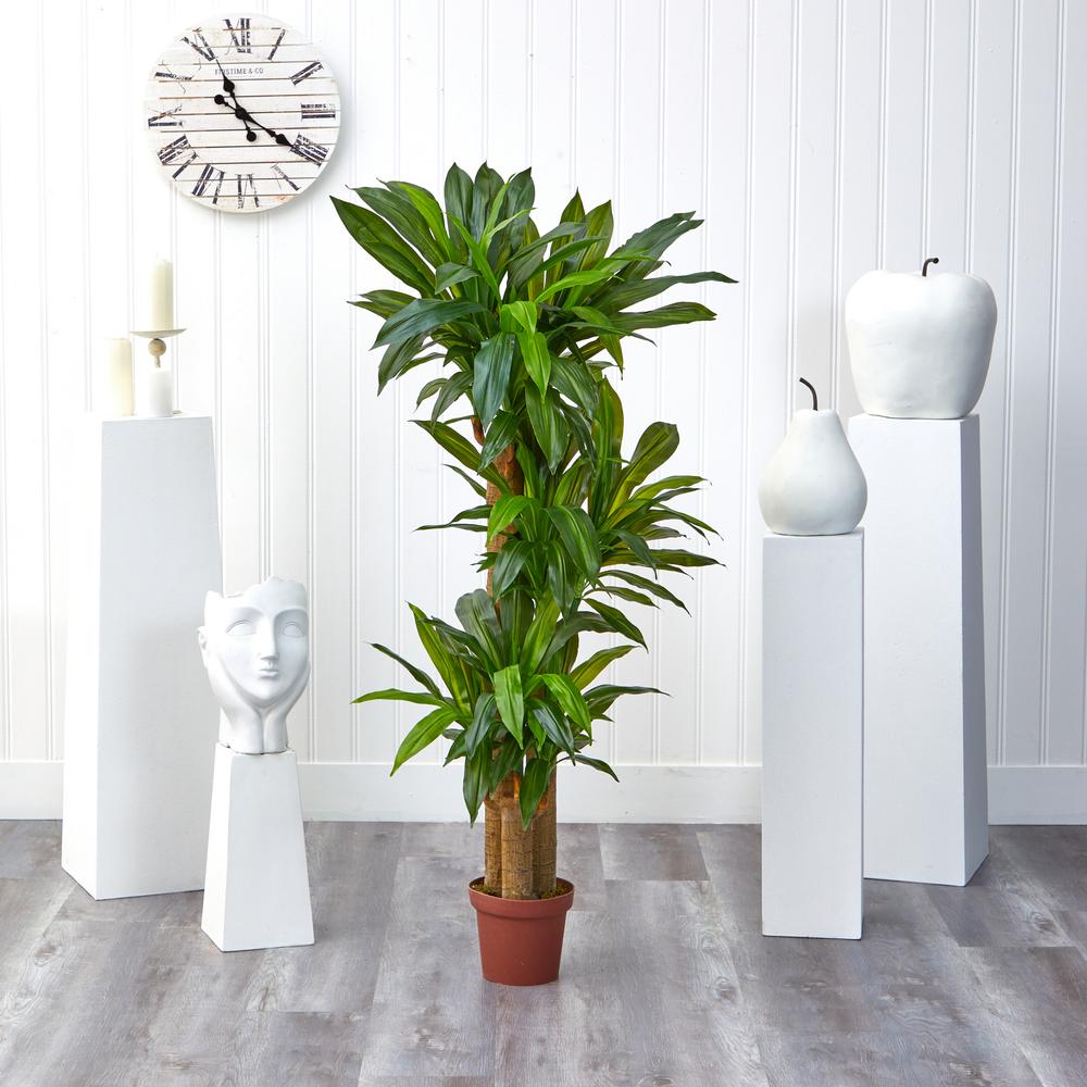 Corn Stalk Dracaena Silk Plant (Real Touch). Picture 7