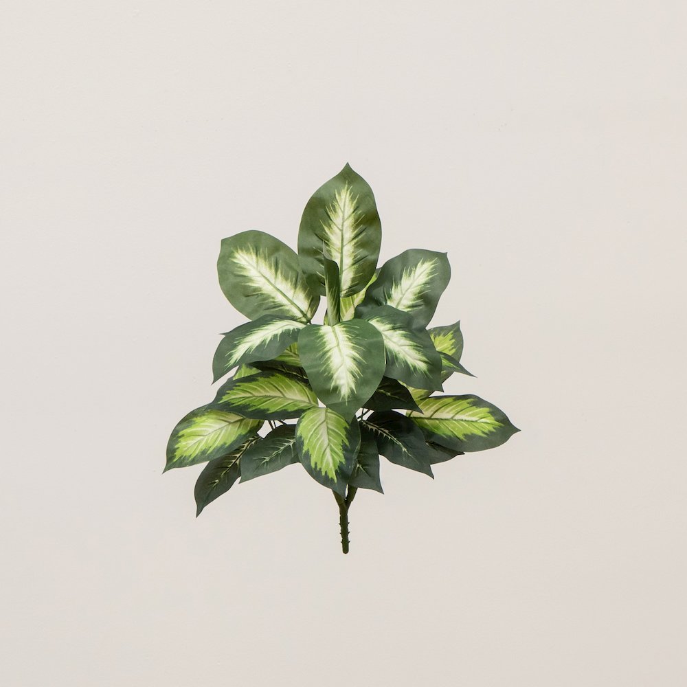 20in. Artificial Golden Dieffenbachia Plant - Set of 6. Picture 6