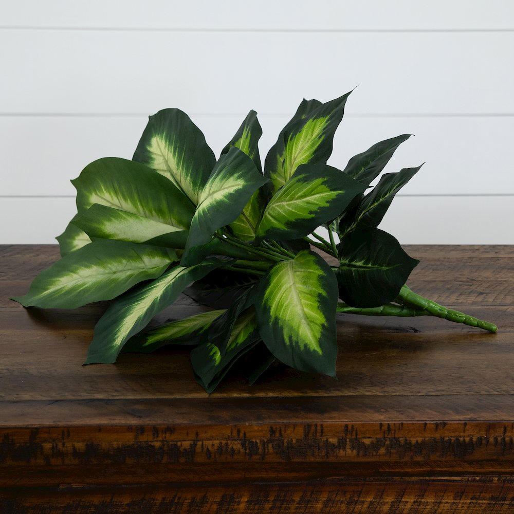 20in. Artificial Golden Dieffenbachia Plant - Set of 6. Picture 8