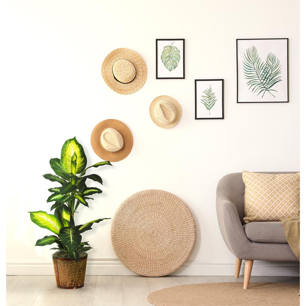 42in. Golden Dieffenbachia with Basket Silk Plant. Picture 2