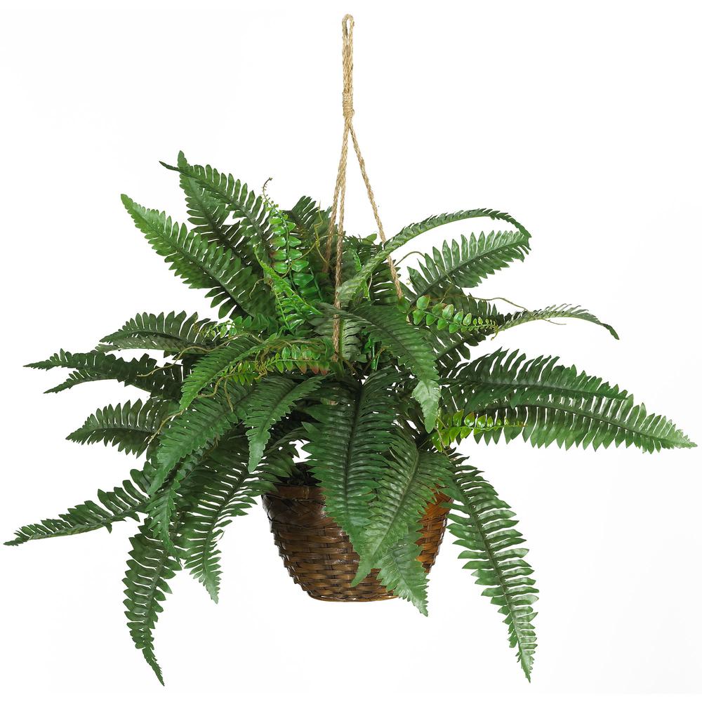 Boston Fern Silk Hanging Basket. Picture 1