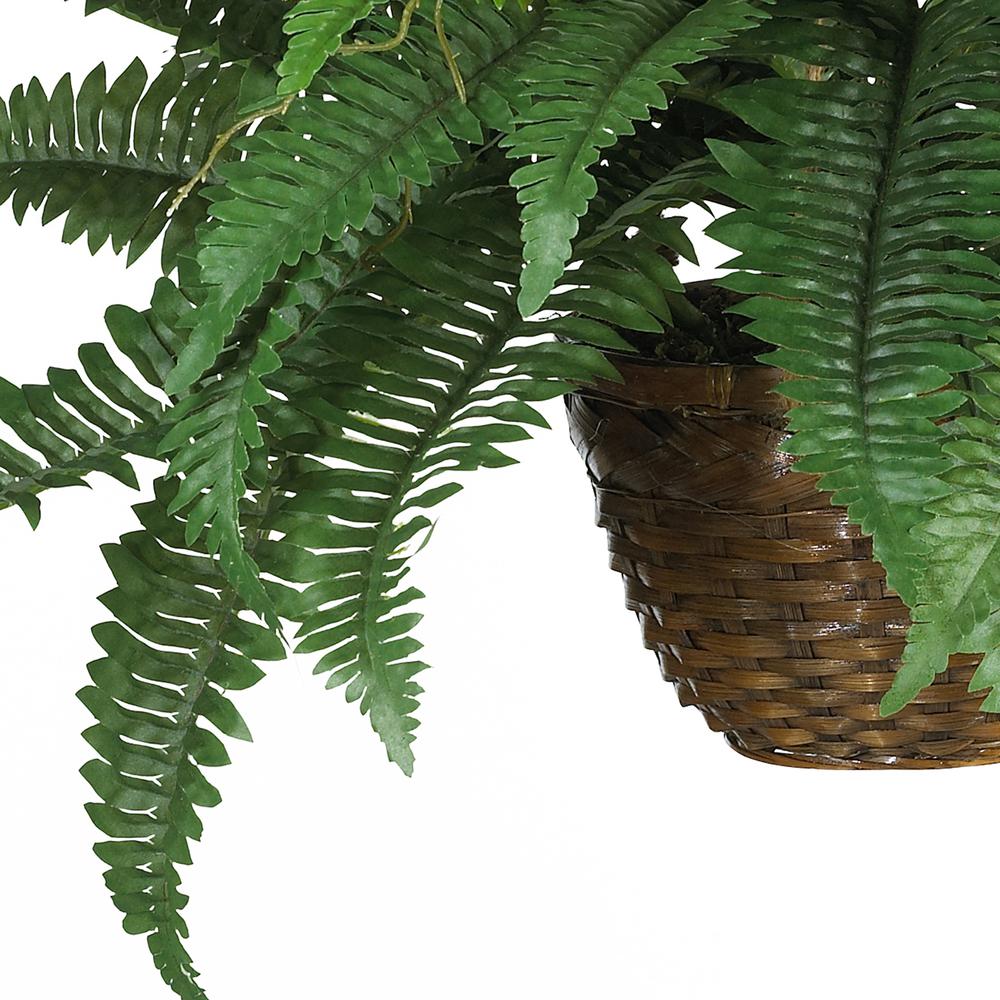 Boston Fern Silk Hanging Basket. Picture 3