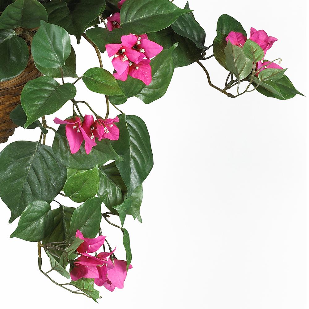 Bougainvillea Hanging Basket Silk Plant. Picture 5