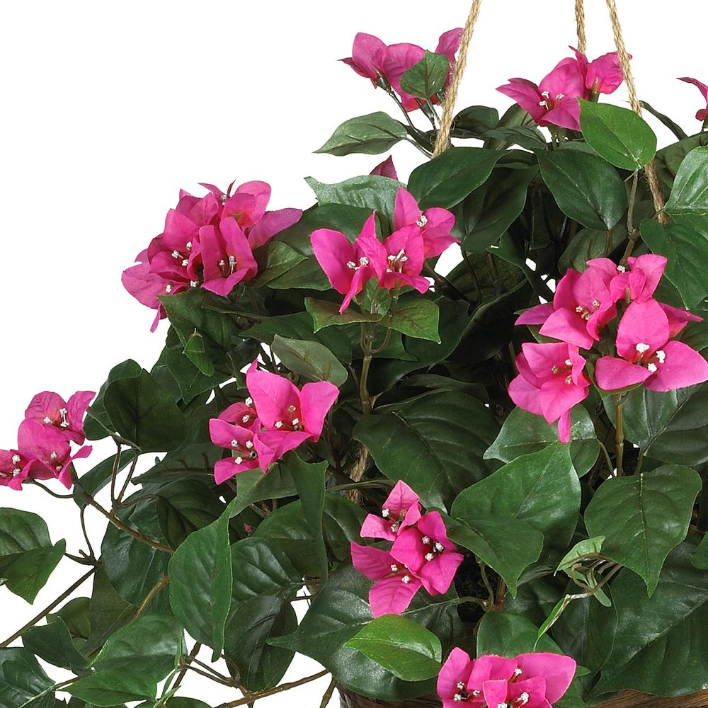 Bougainvillea Hanging Basket Silk Plant. Picture 6