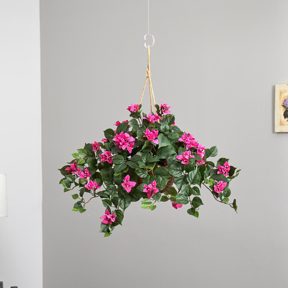 Bougainvillea Hanging Basket Silk Plant. Picture 8