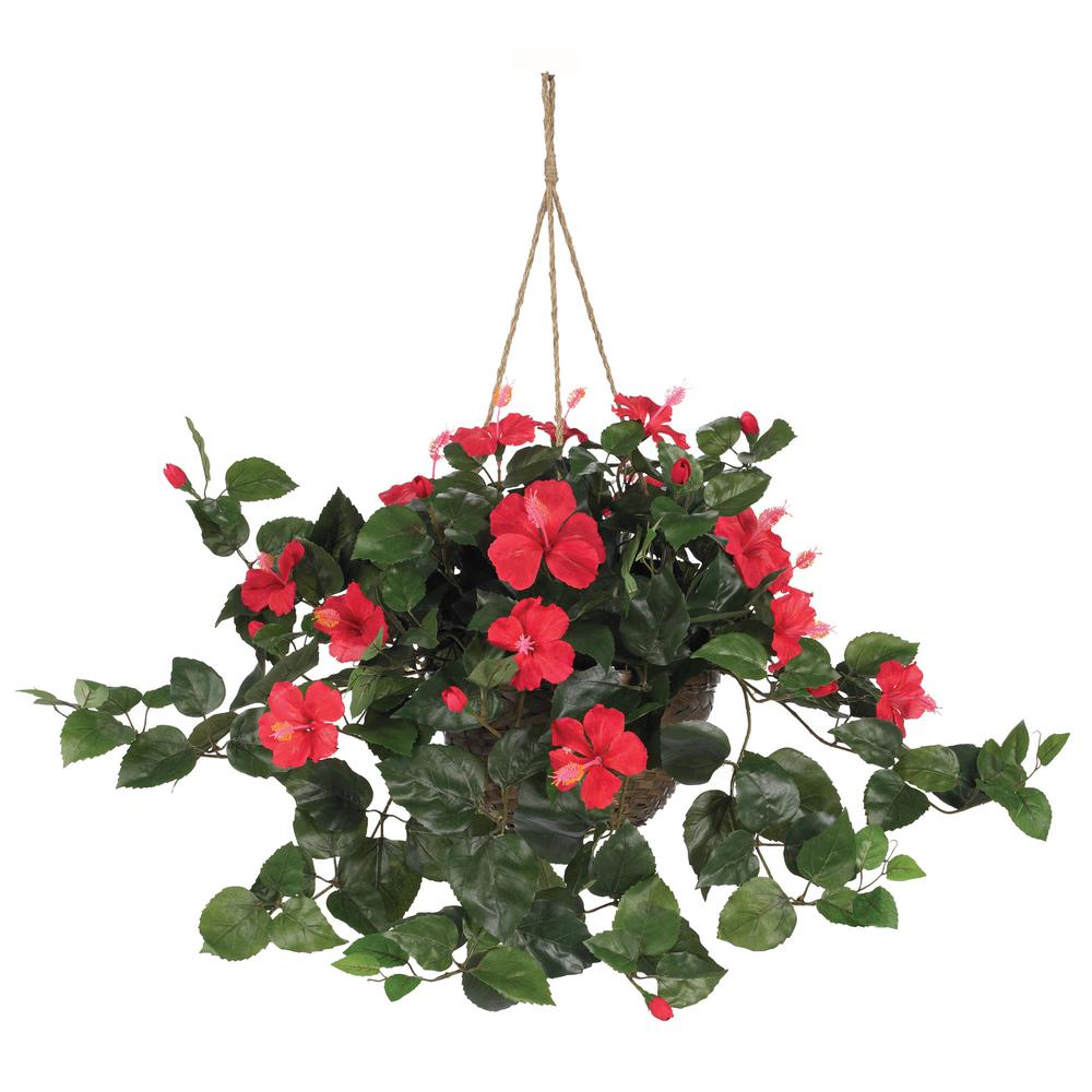 Hibiscus Hanging Basket. Picture 1