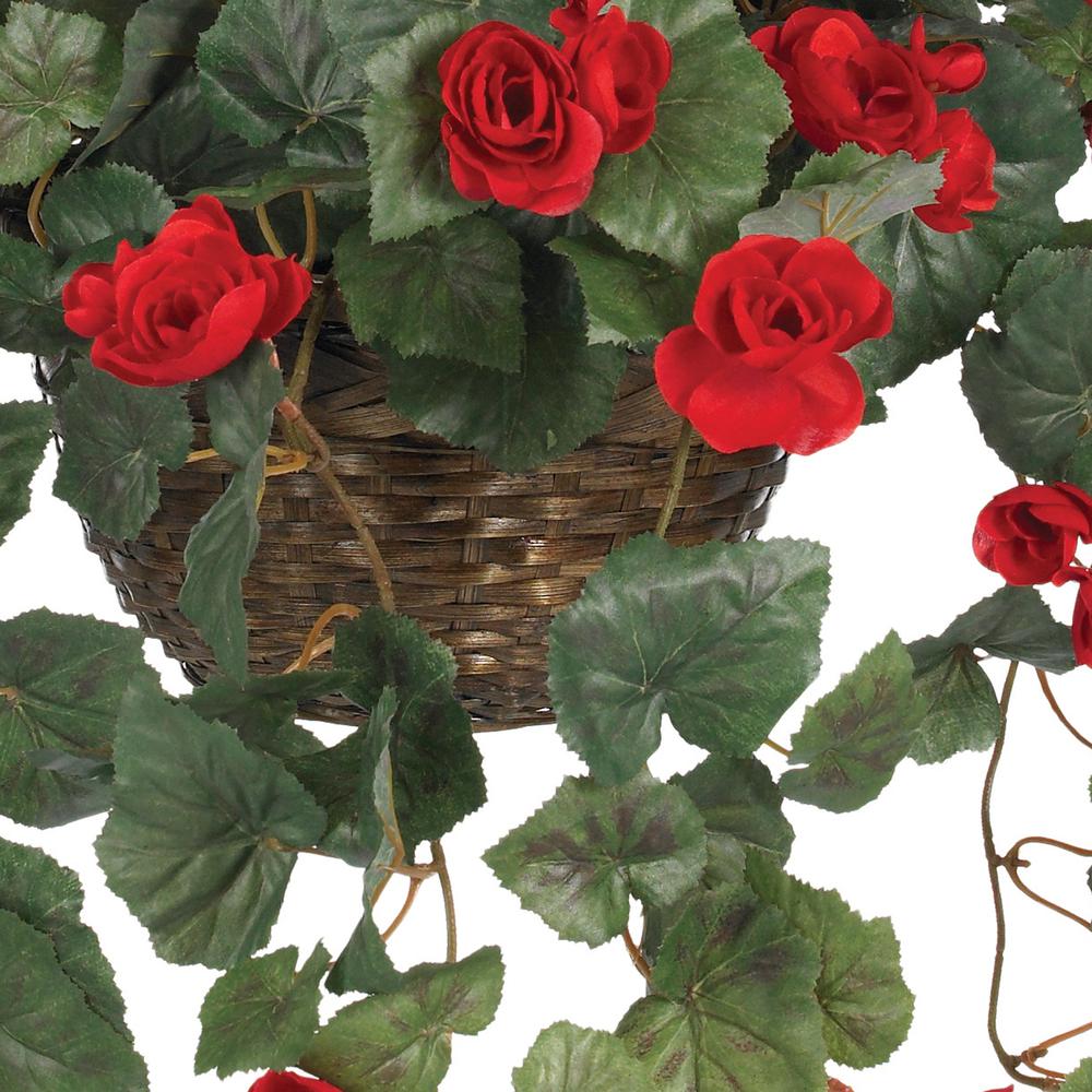Begonia Hanging Basket. Picture 4