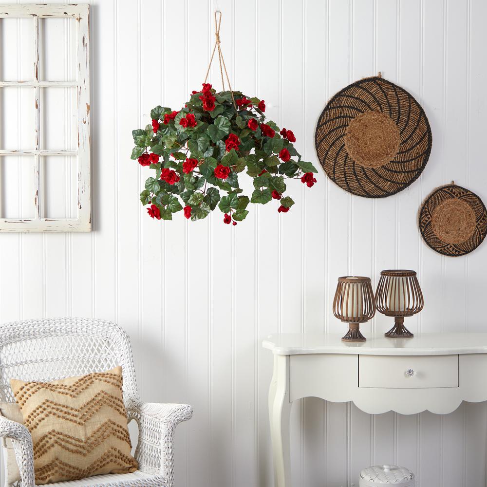Begonia Hanging Basket. Picture 6