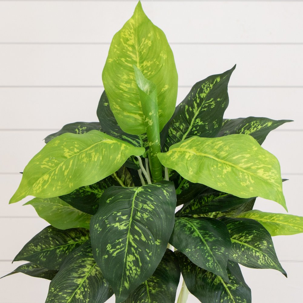 19in. Artificial Dieffenbachia Plant - Set of 6. Picture 2