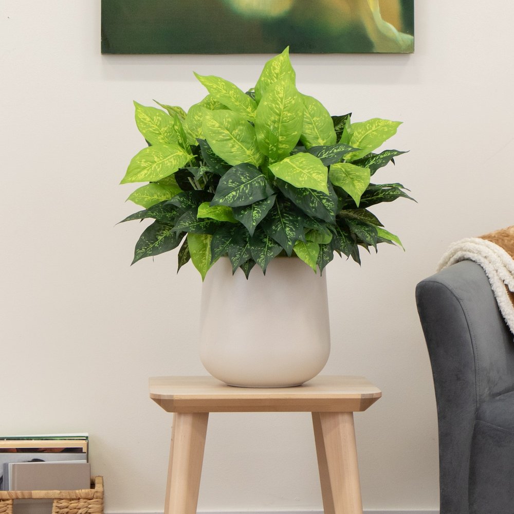 19in. Artificial Dieffenbachia Plant - Set of 6. Picture 5