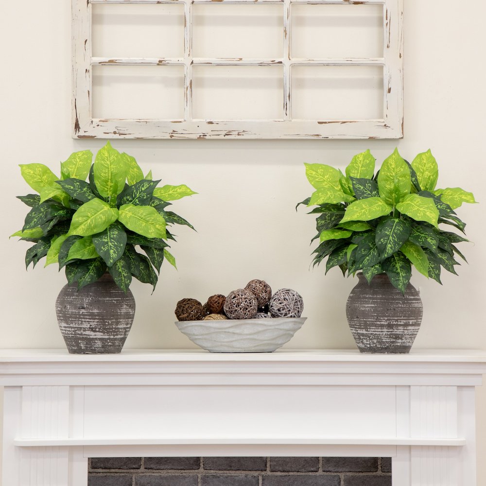 19in. Artificial Dieffenbachia Plant - Set of 6. Picture 4