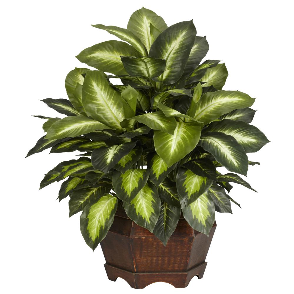 Golden Dieffenbachia Silk Plant. Picture 1