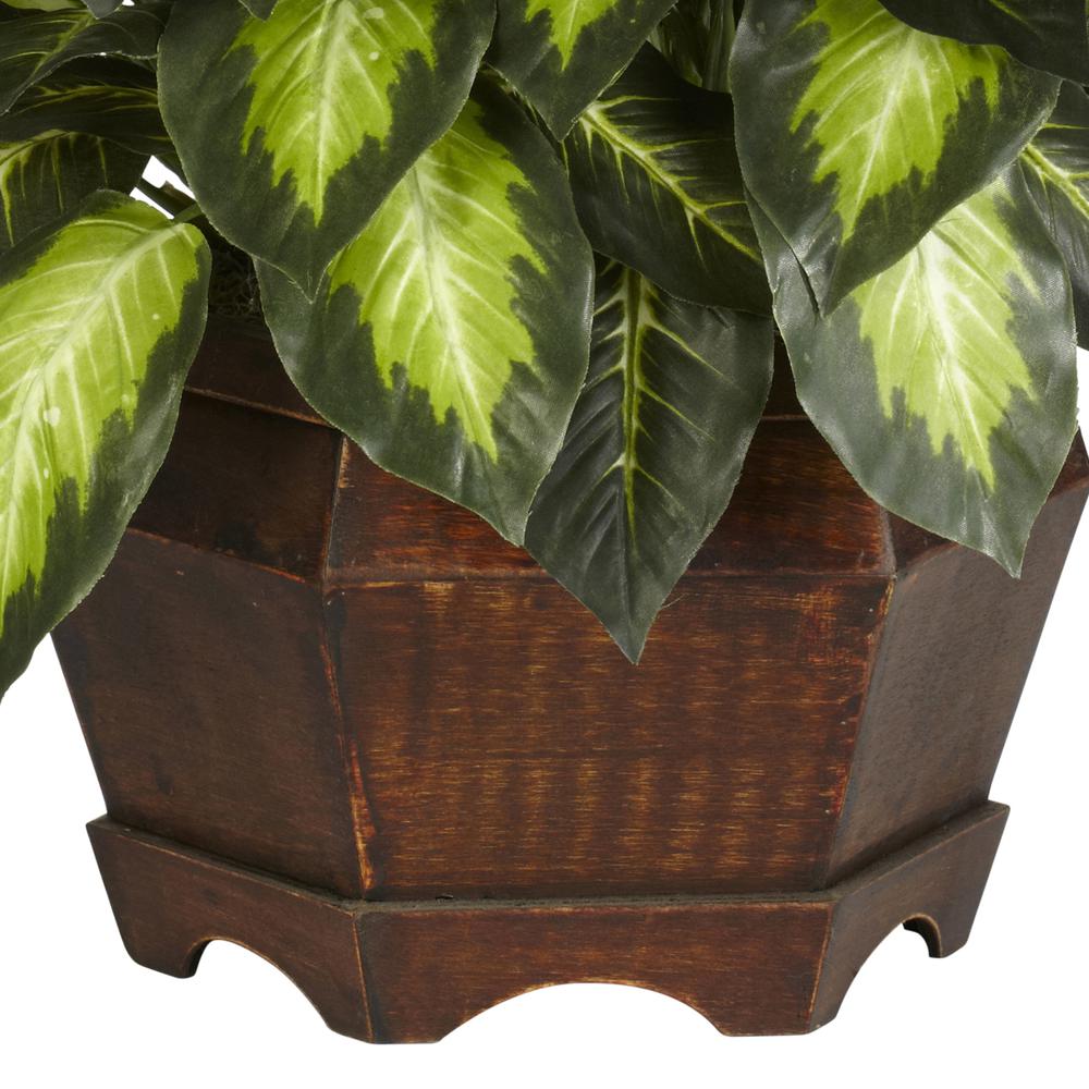 Golden Dieffenbachia Silk Plant. Picture 5