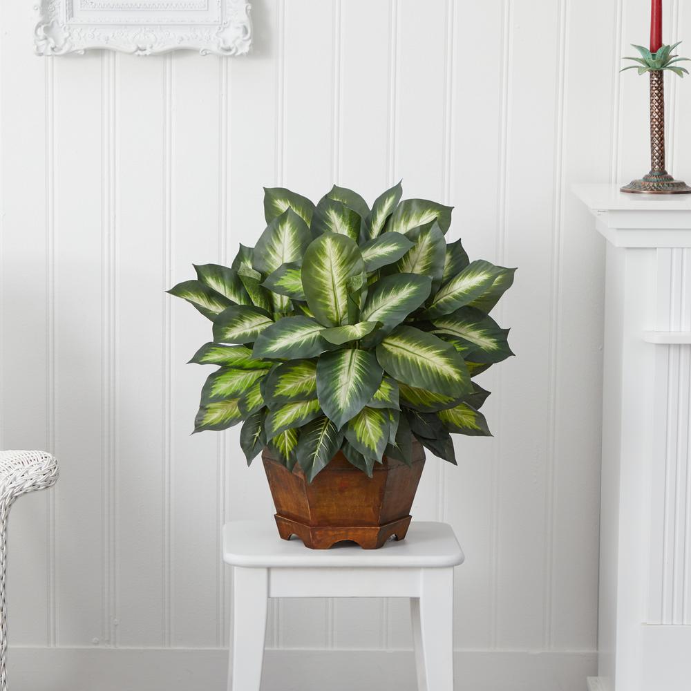 Golden Dieffenbachia Silk Plant. Picture 3