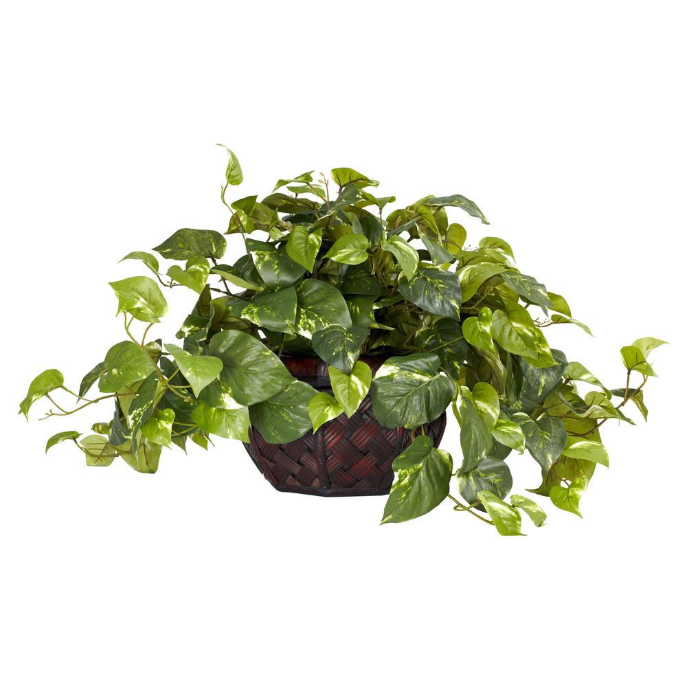 Pothos with Decorative Vase Silk Plant. Picture 1