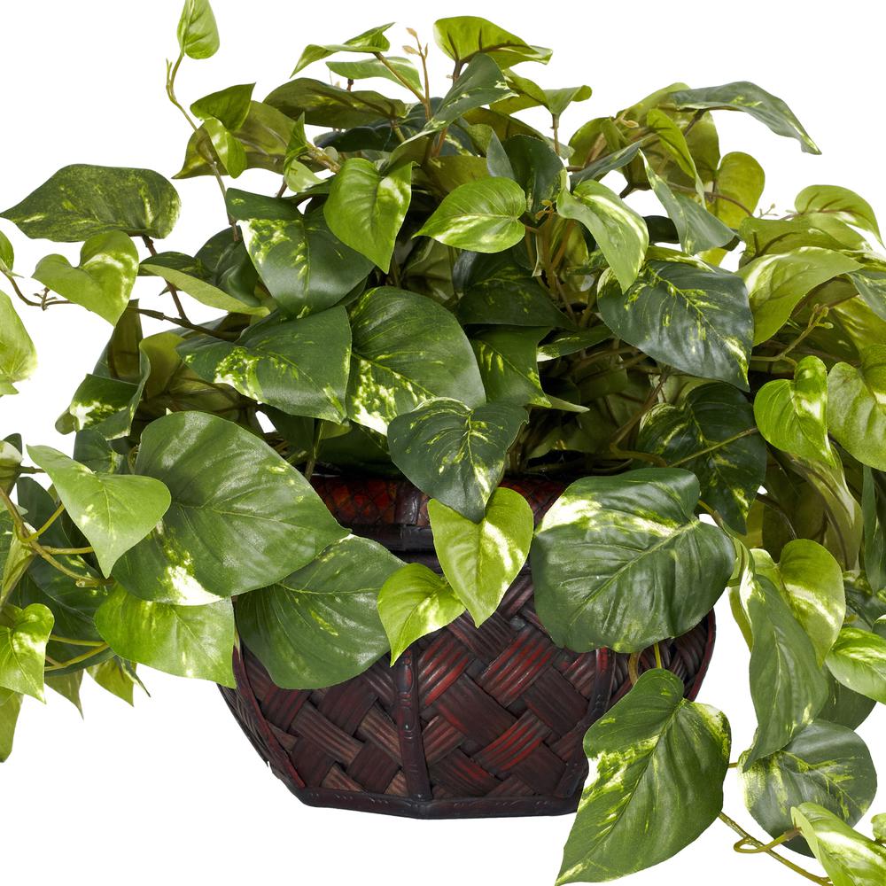 Pothos with Decorative Vase Silk Plant. Picture 5