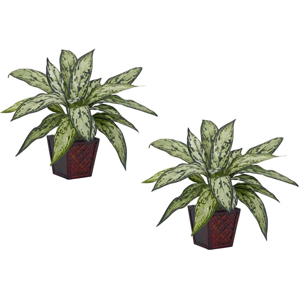 Silver Queen Silk Plant (Set of 2). Picture 1