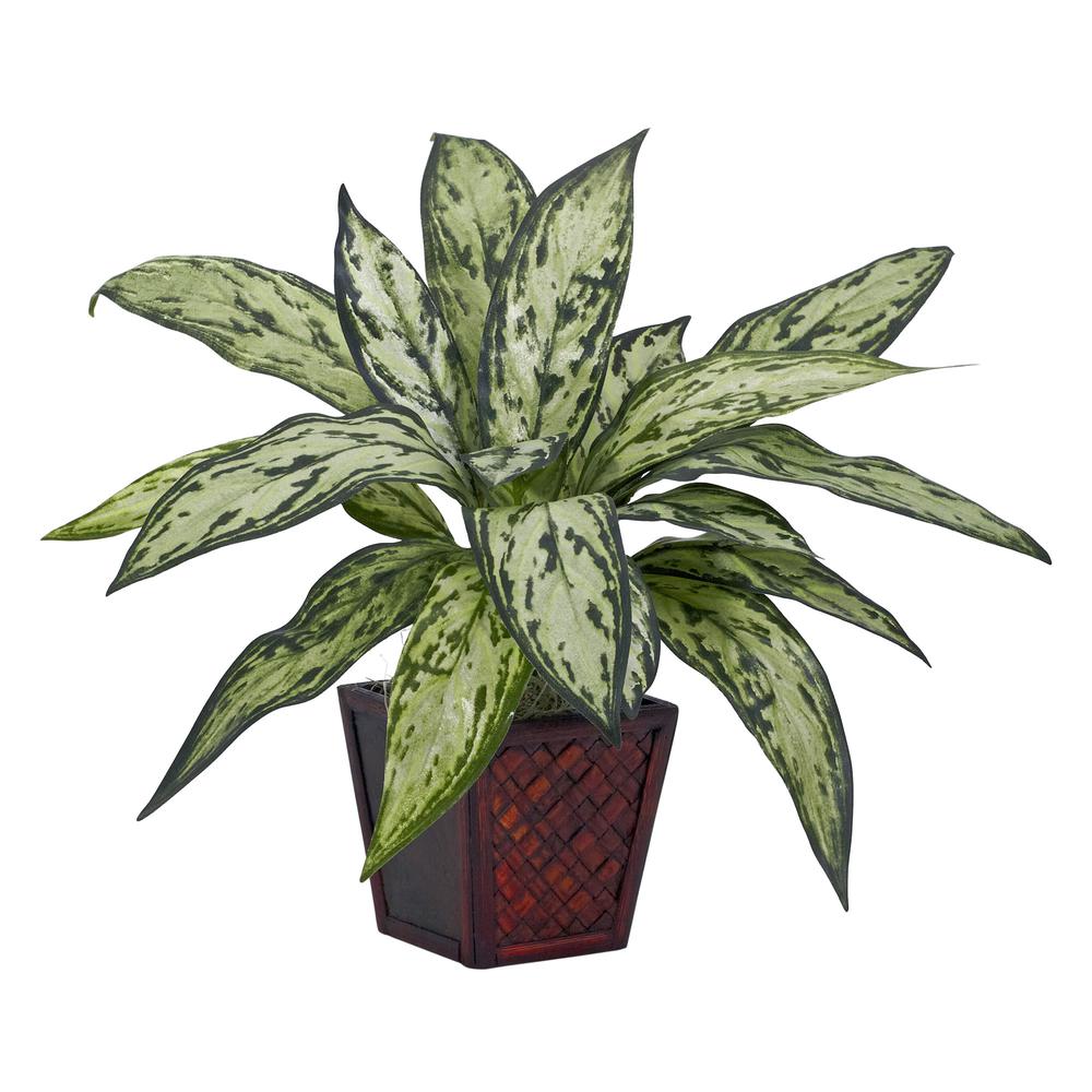 Silver Queen Silk Plant (Set of 2). Picture 2