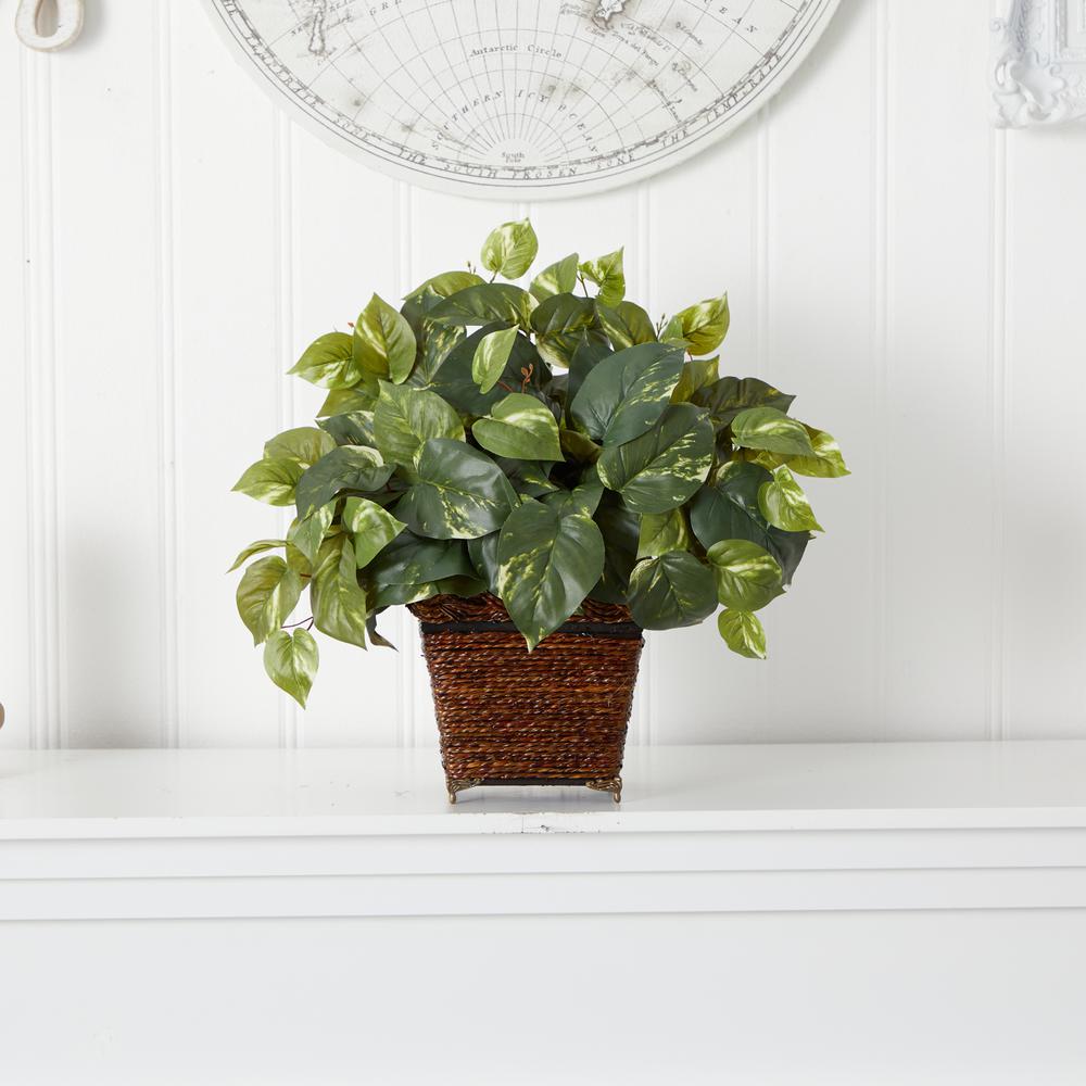 Pothos with Coiled Rope Planter Silk Plant. Picture 2