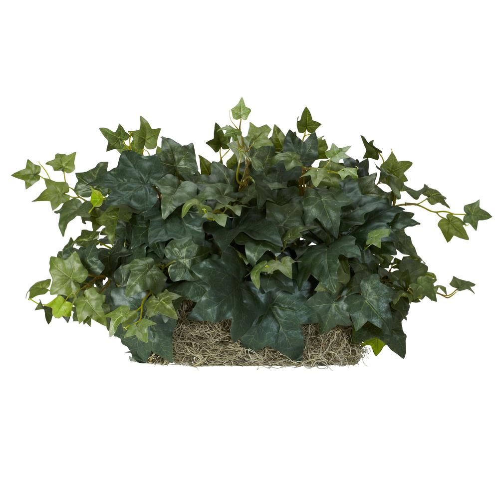 Ivy Ledge Plant (Set on Foam) Silk Plant. Picture 1