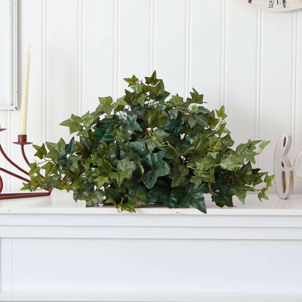 Ivy Ledge Plant (Set on Foam) Silk Plant. Picture 3