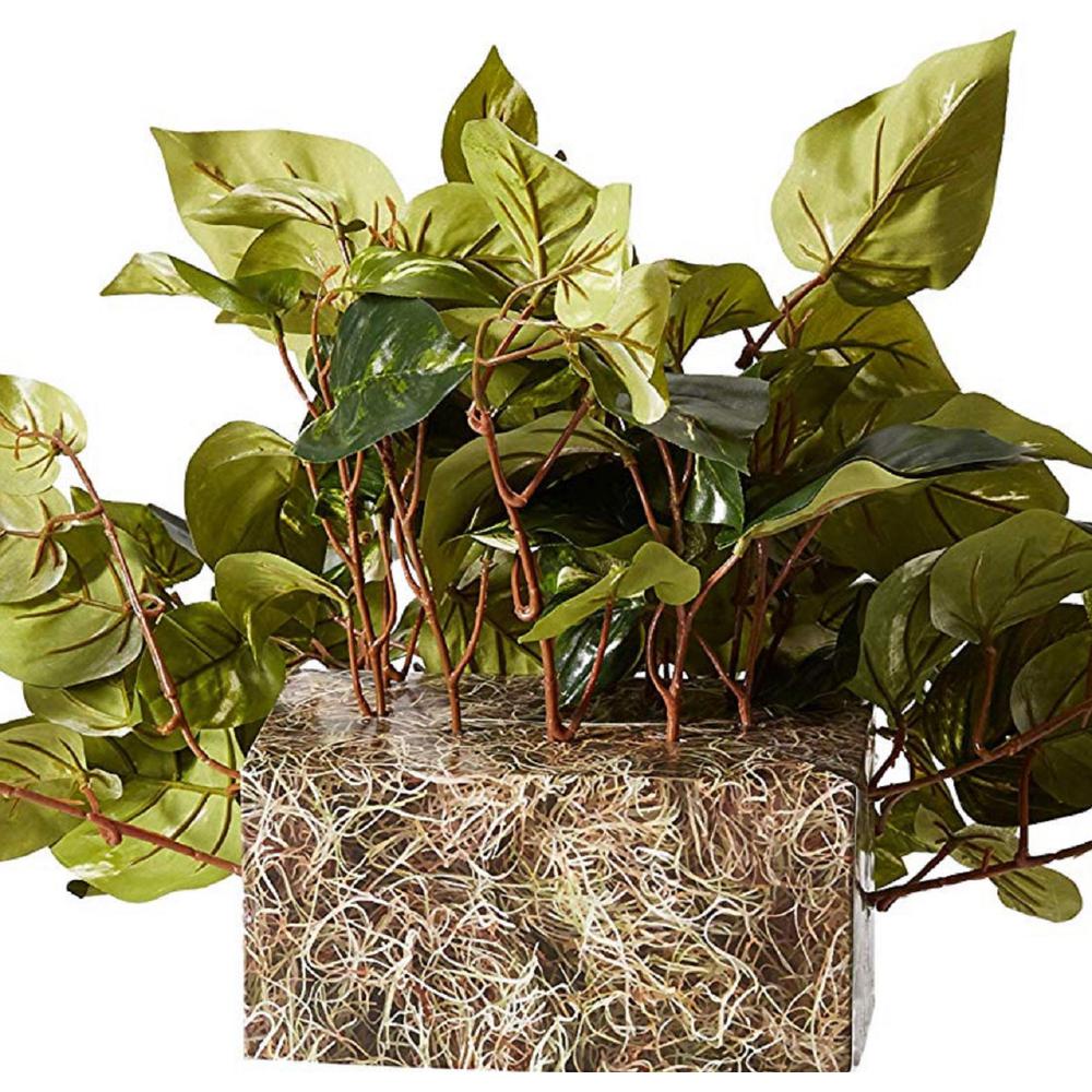 Pothos Ledge Plant (Set on Foam) Silk Plant. Picture 3