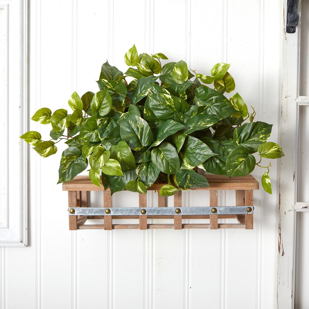 Pothos Ledge Plant (Set on Foam) Silk Plant. Picture 4