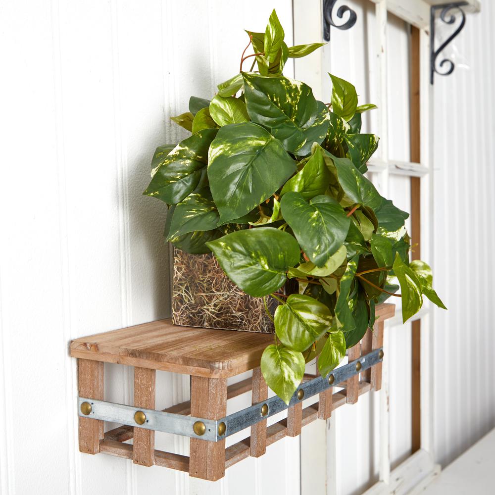 Pothos Ledge Plant (Set on Foam) Silk Plant. Picture 2