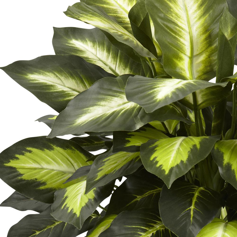 Triple Golden Dieffenbachia with Wood Vase. Picture 2