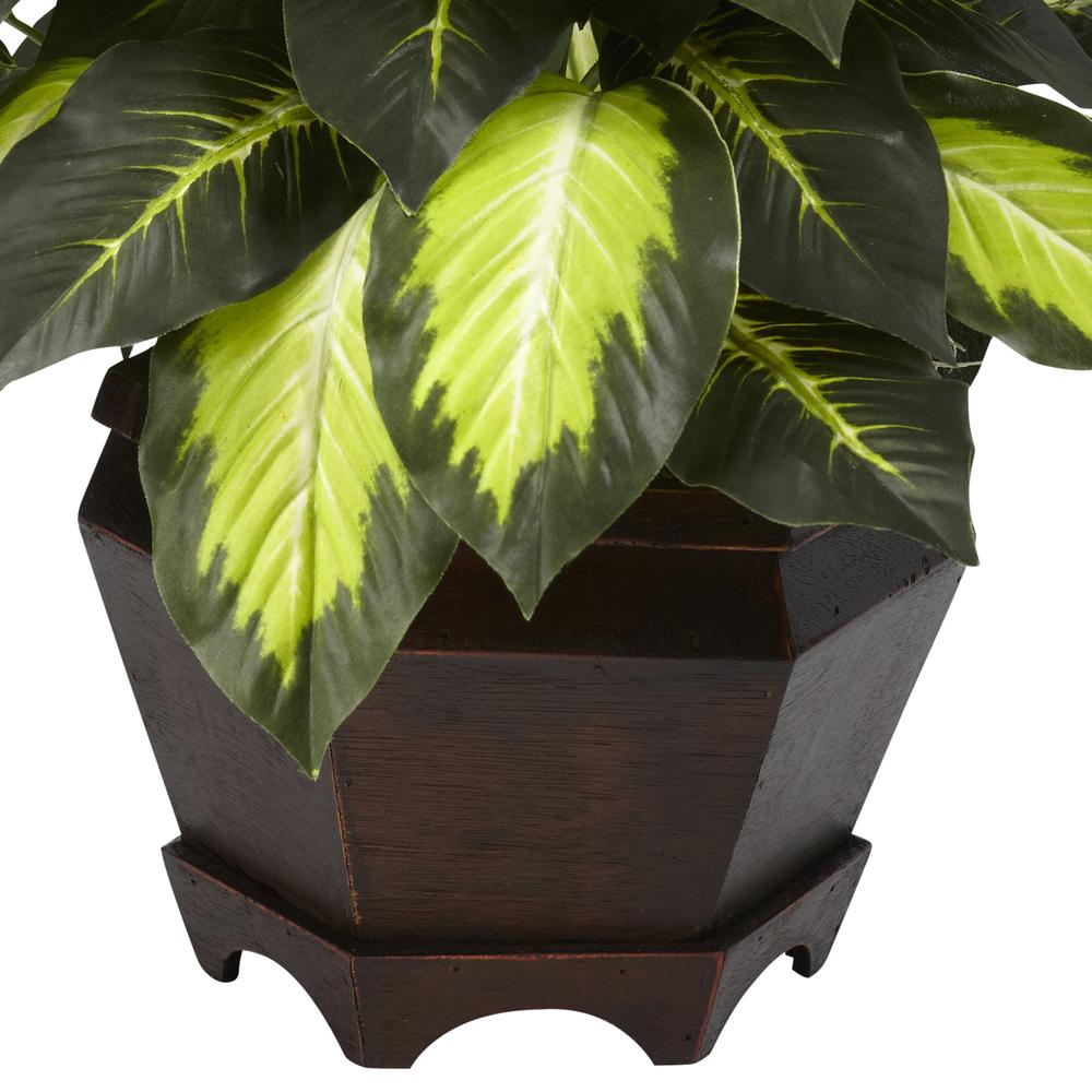 Triple Golden Dieffenbachia with Wood Vase. Picture 3