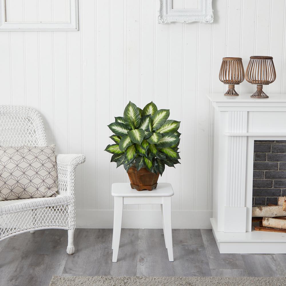 Triple Golden Dieffenbachia with Wood Vase. Picture 5
