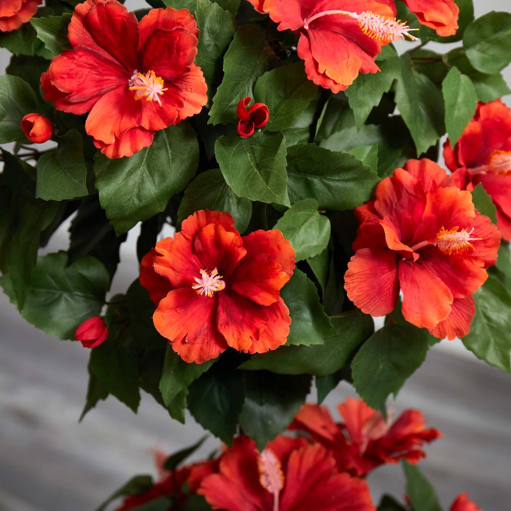 39in. Hibiscus Topiary. Picture 5