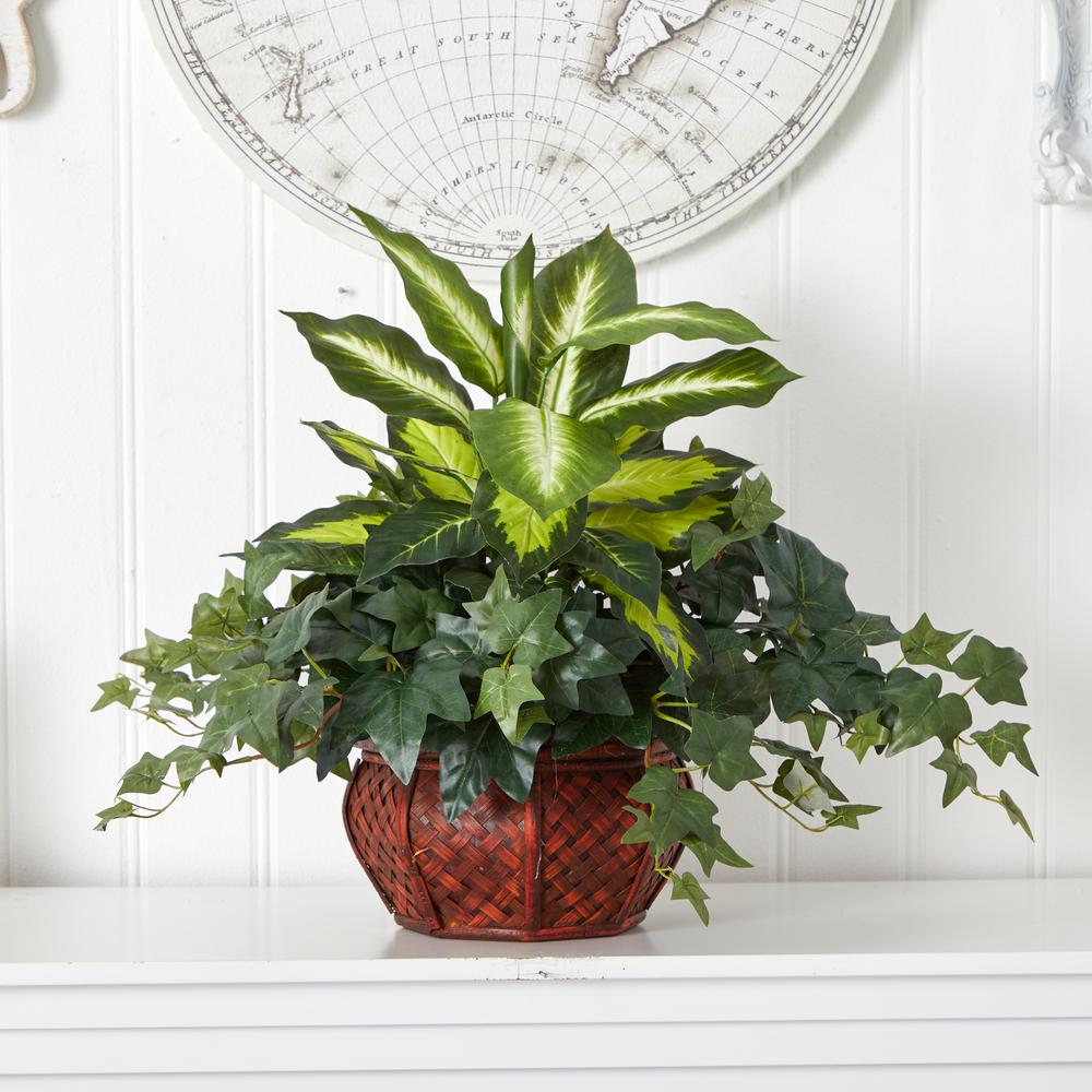 Dieffenbachia & Ivy with Decorative Planter. Picture 3