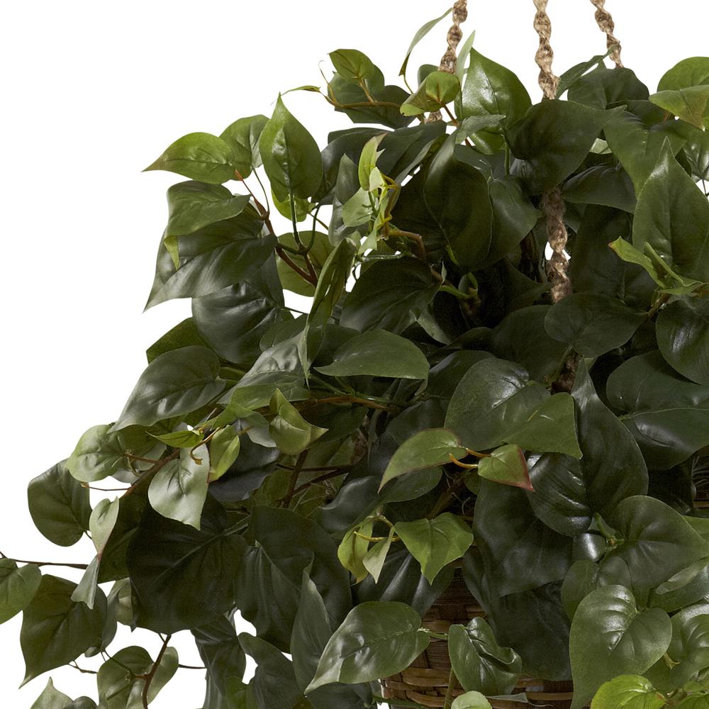 Philo Hanging Basket. Picture 5