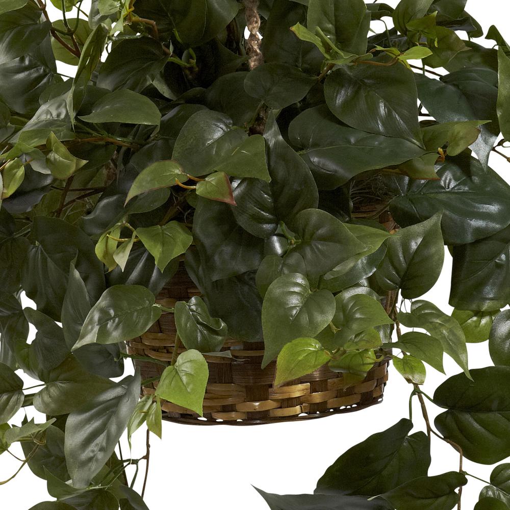 Philo Hanging Basket. Picture 3