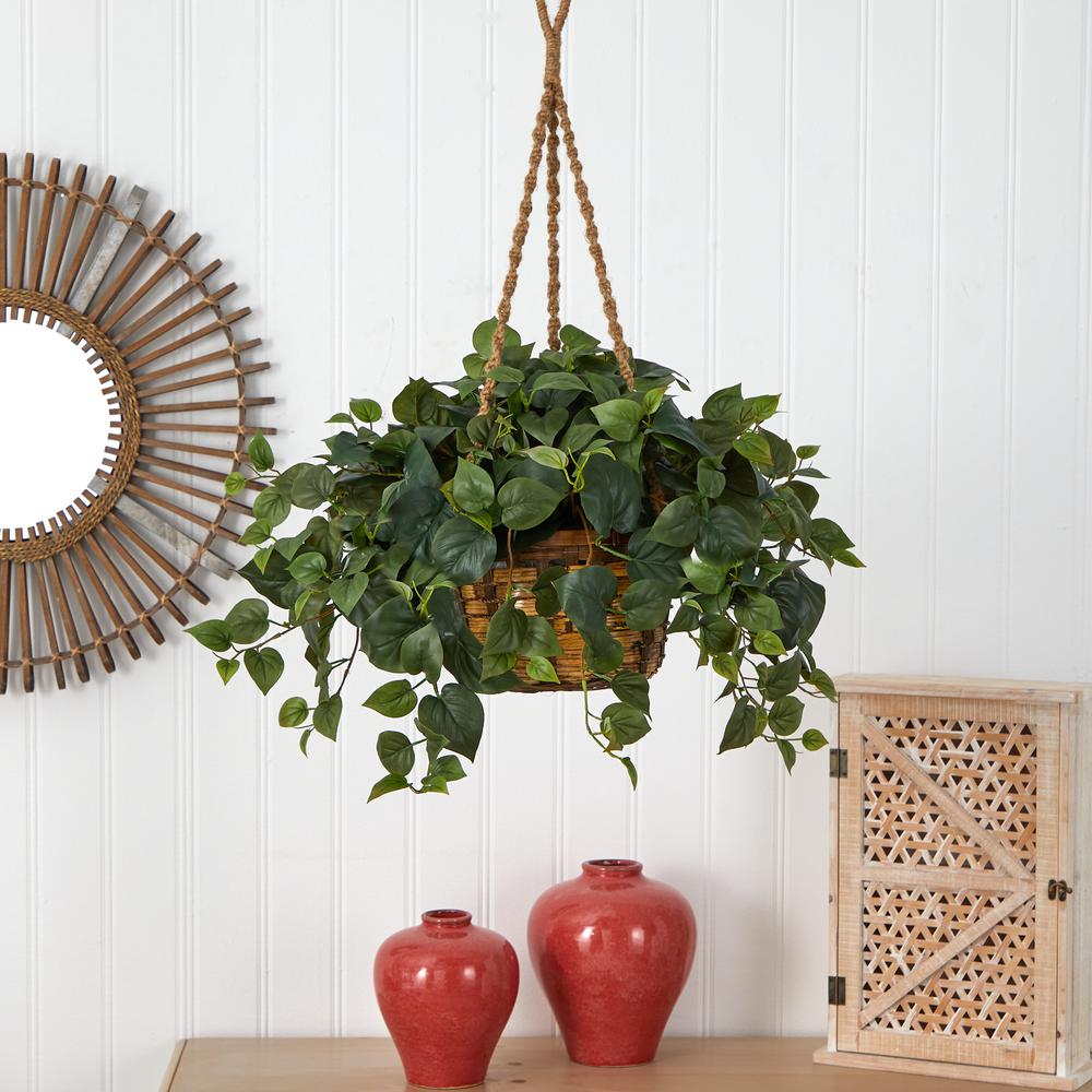 Philo Hanging Basket. Picture 2