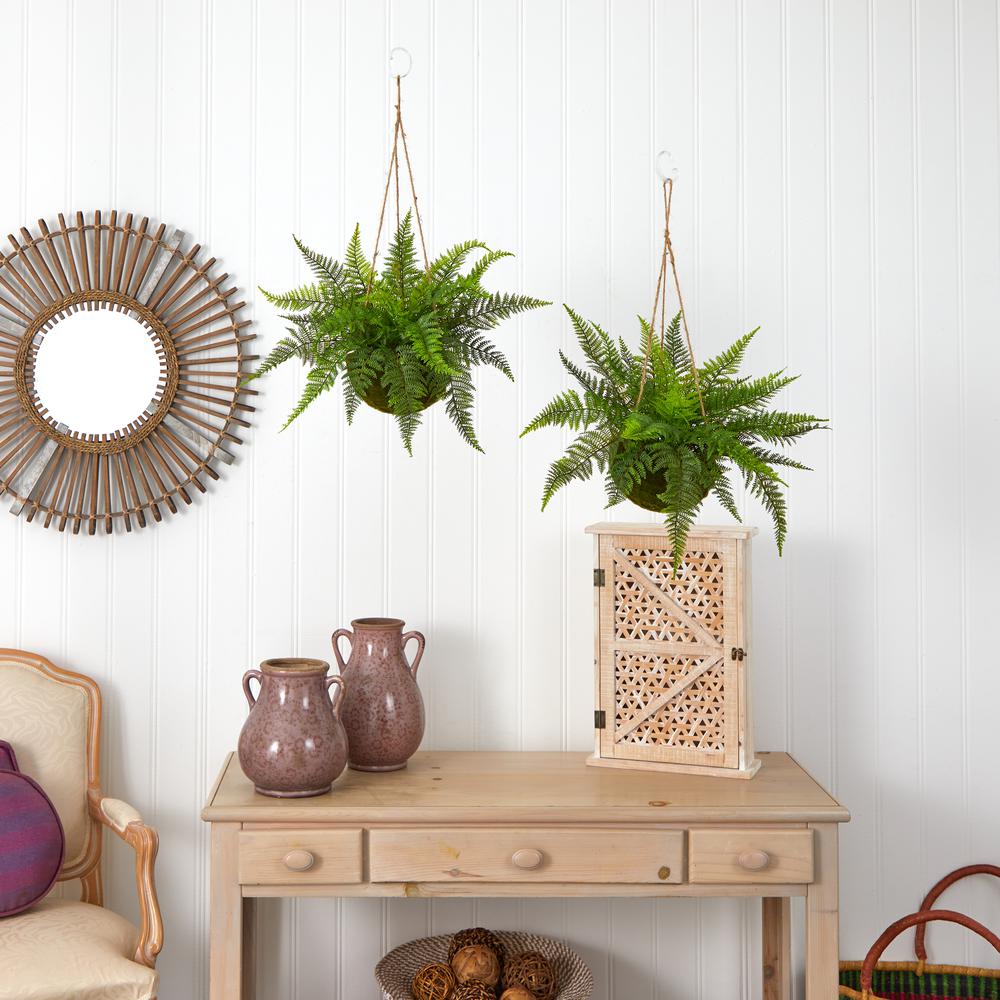 Leather Fern with Mossy Hanging Basket (Indoor/Outdoor) (Set of 2). Picture 5
