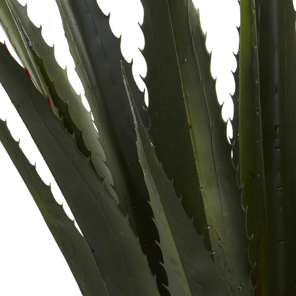 52in. Giant Agave Plant. Picture 3
