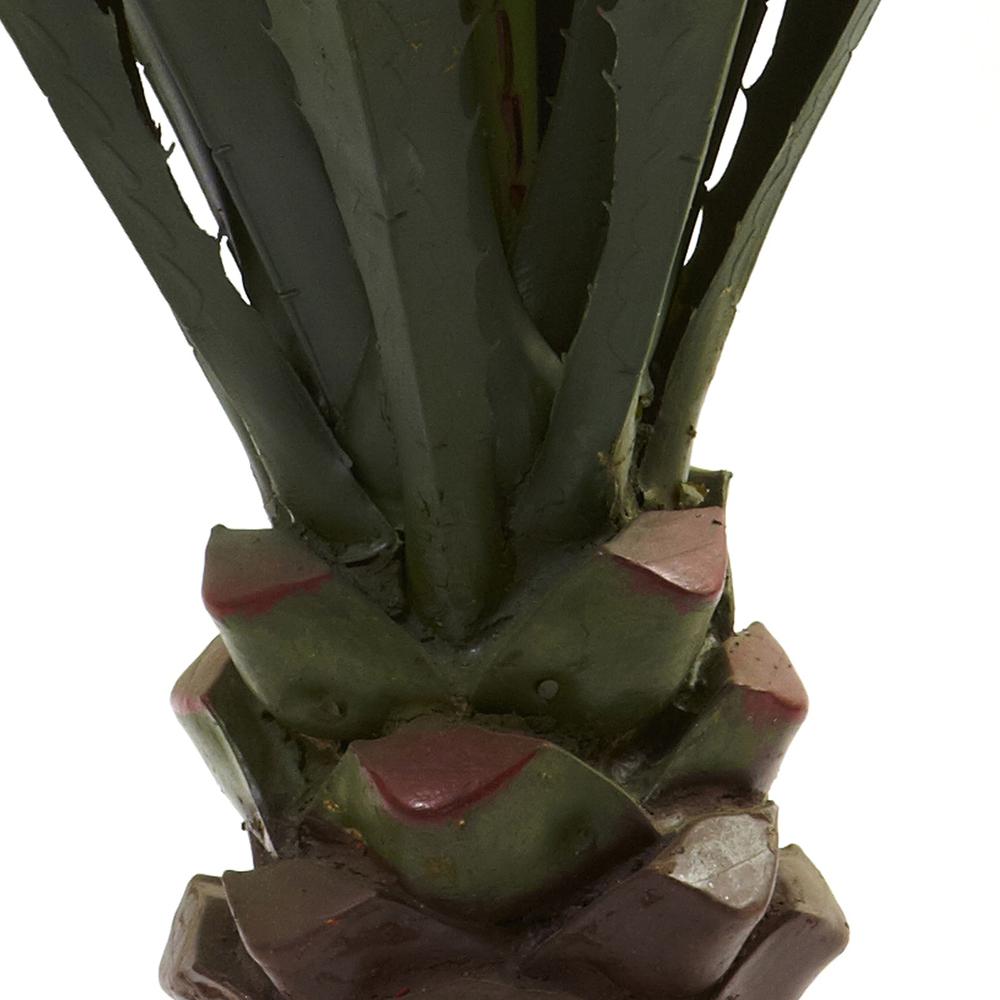 52in. Giant Agave Plant. Picture 4