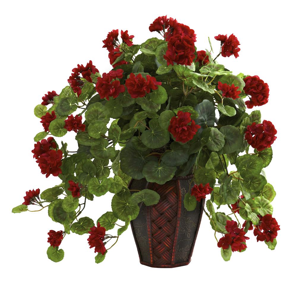 Geranium with Decorative Planter. Picture 1